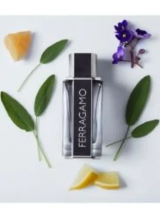 Salvatore Ferragamo Ferragamo EDT,Citrus Woody Bergamot-Mini5ml,0.17oz-BOXED-NEW - Picture 8 of 14